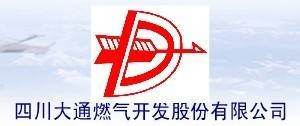 德龙汇能集团股份有限公司
