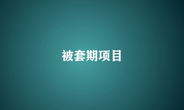 被套期项目