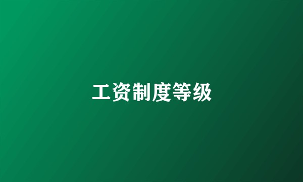 工资制度等级