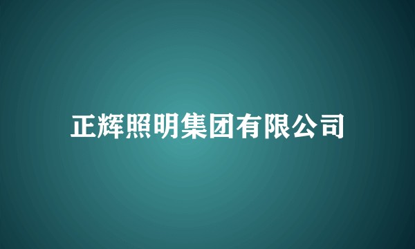 正辉照明集团有限公司