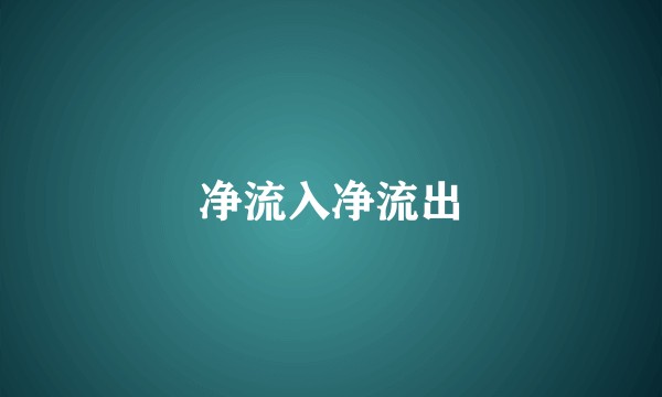 净流入净流出