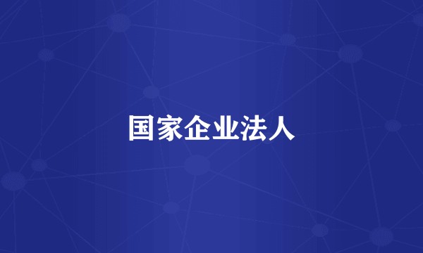 国家企业法人