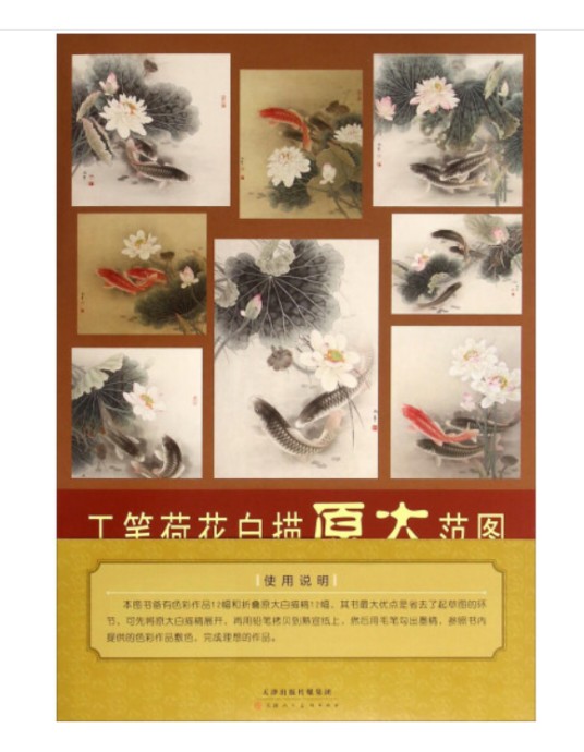 工笔荷花白描原大范图