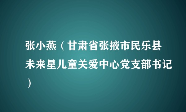 张小燕（甘肃省张掖市民乐县未来星儿童关爱中心党支部书记）