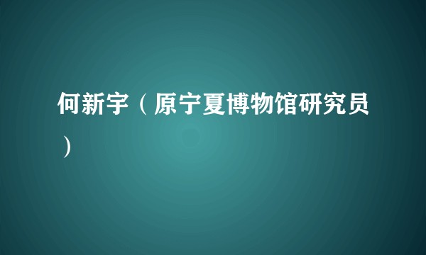 何新宇（原宁夏博物馆研究员）