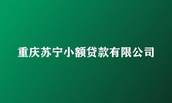 重庆苏宁小额贷款有限公司