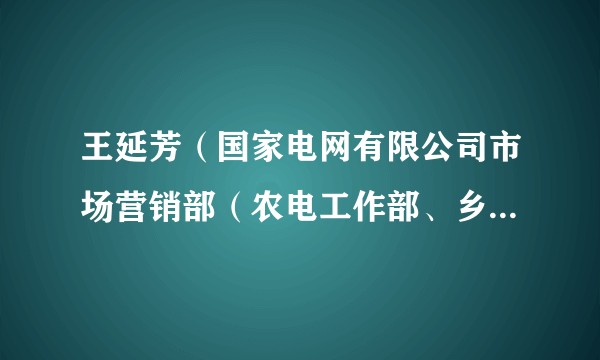 王延芳（国家电网有限公司市场营销部（农电工作部、乡村振兴办公室）副主任）