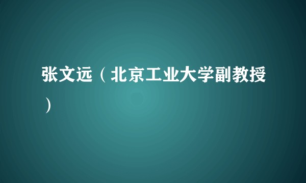 张文远（北京工业大学副教授）