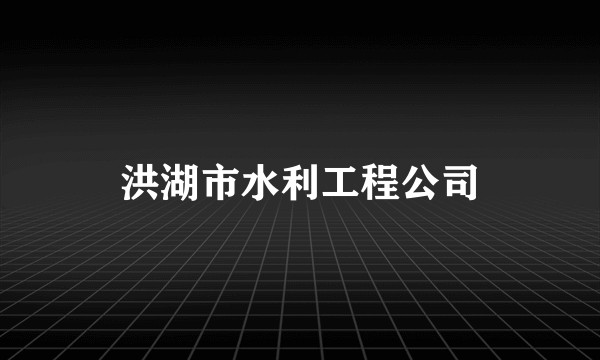 洪湖市水利工程公司