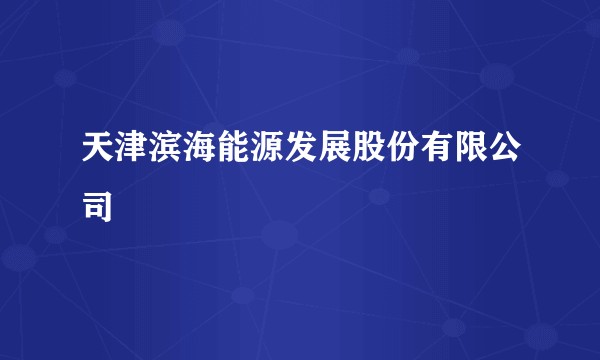 天津滨海能源发展股份有限公司