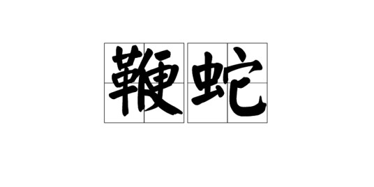鞭蛇(游蛇科爬虫类)