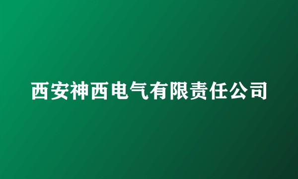 西安神西电气有限责任公司