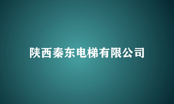 陕西秦东电梯有限公司