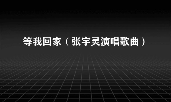 等我回家（张宇灵演唱歌曲）