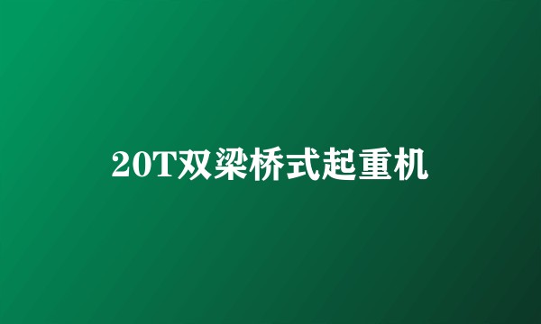 20T双梁桥式起重机