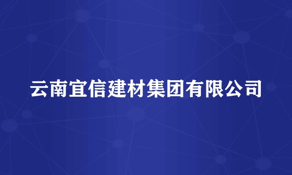 云南宜信建材集团有限公司