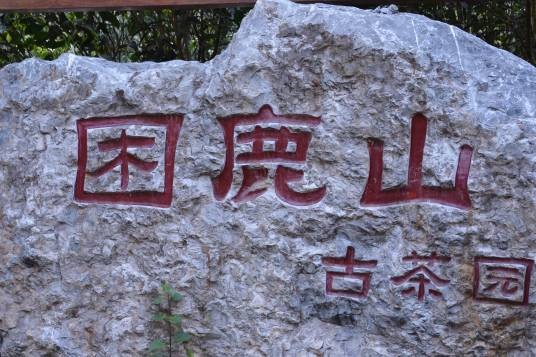 困鹿山皇家古茶园