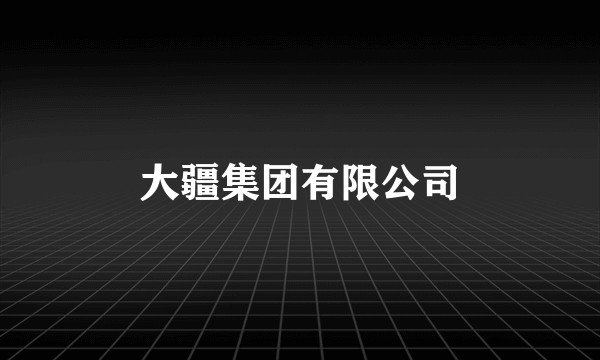大疆集团有限公司