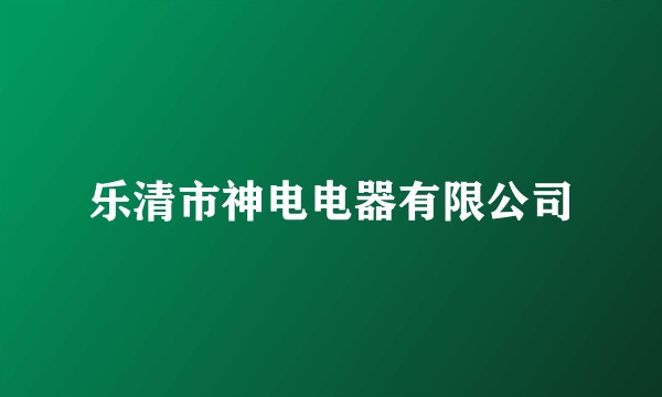 乐清市神电电器有限公司