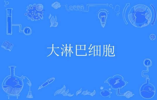 大淋巴细胞