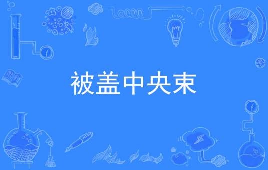 被盖中央束