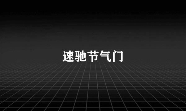 速驰节气门