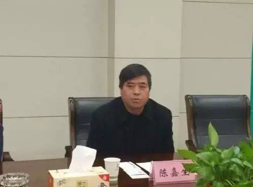 陈嘉生（铜陵化学工业集团有限公司原党委书记、董事长）