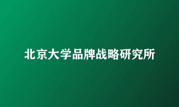 北京大学品牌战略研究所