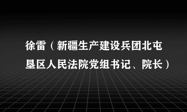 徐雷(新疆生产建设兵团北屯垦区人民法院党组书记、院长)