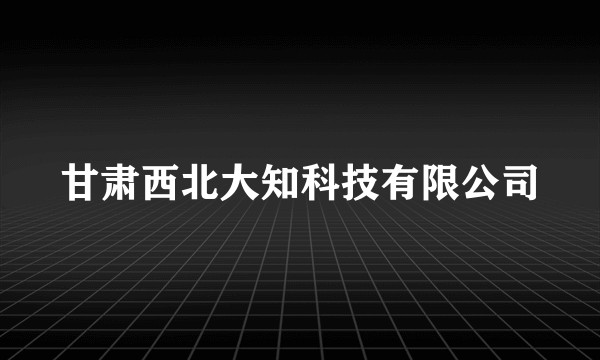 甘肃西北大知科技有限公司