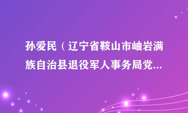 孙爱民(辽宁省鞍山市岫岩满族自治县退役军人事务局党组书记、局长)