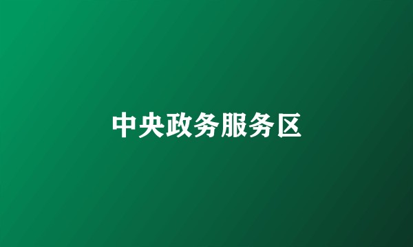 中央政务服务区