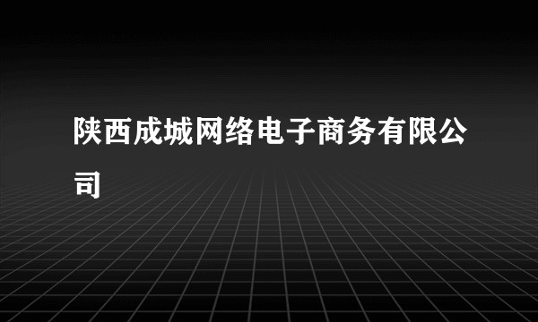 陕西成城网络电子商务有限公司
