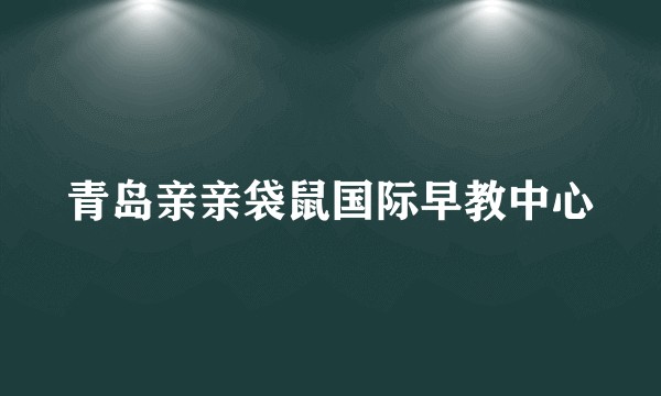 青岛亲亲袋鼠国际早教中心
