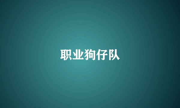 职业狗仔队