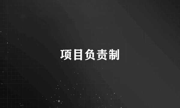 项目负责制