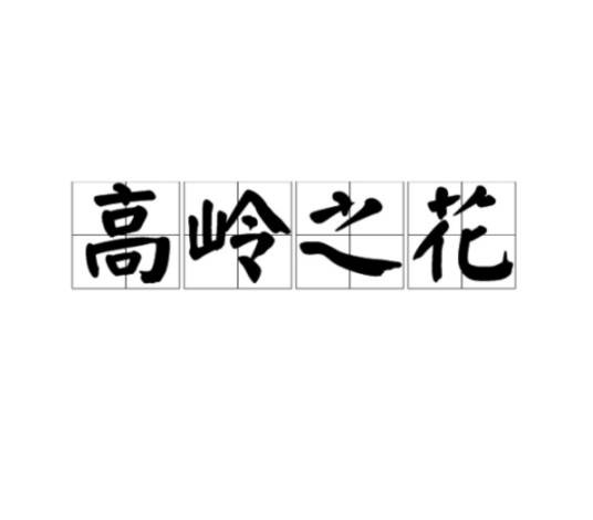 高岭之花（词语）