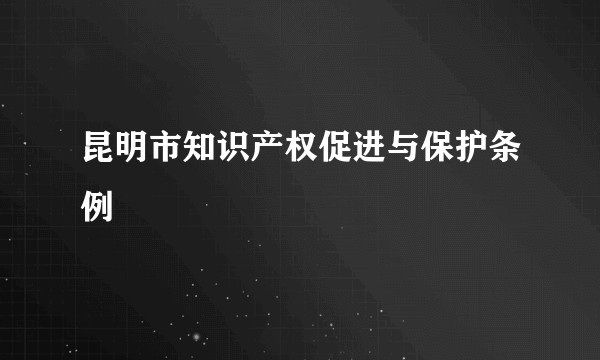 昆明市知识产权促进与保护条例