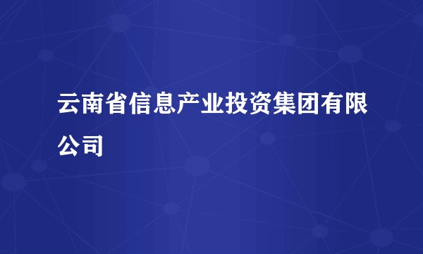 云南省信息产业投资集团有限公司