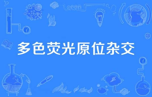 多色荧光原位杂交