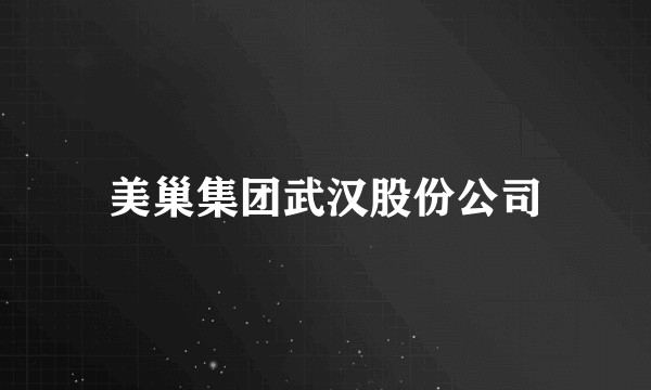 美巢集团武汉股份公司