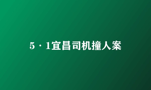 5·1宜昌司机撞人案