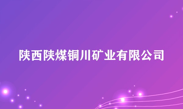 陕西陕煤铜川矿业有限公司
