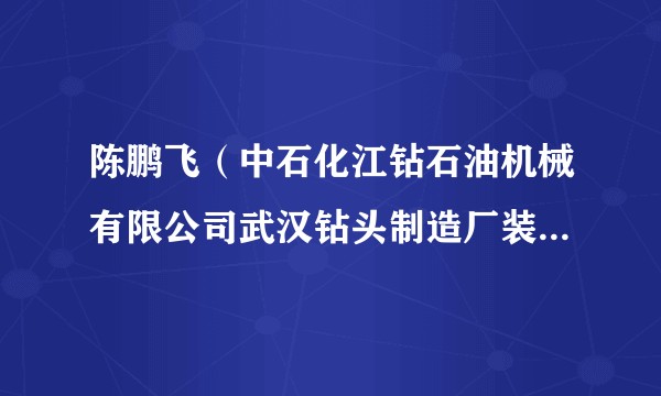 陈鹏飞（中石化江钻石油机械有限公司武汉钻头制造厂装配钳工）