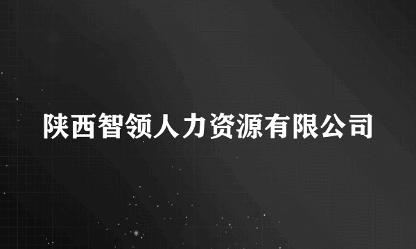 陕西智领人力资源有限公司