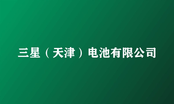 三星（天津）电池有限公司