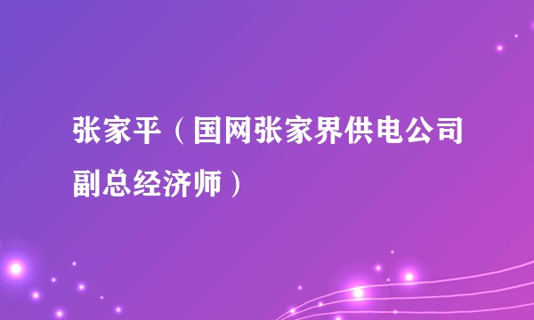 张家平（国网张家界供电公司副总经济师）
