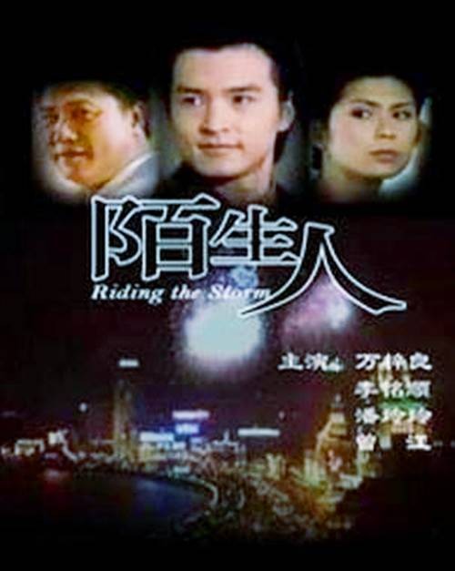 陌生人（1999年蔡晶盛等执导的电视剧）