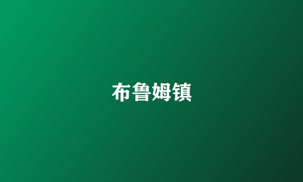 布鲁姆镇