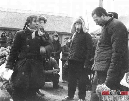 桃园经验